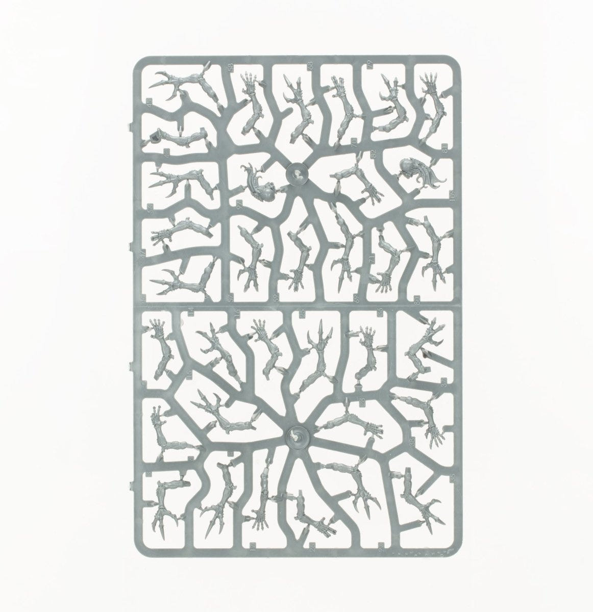 Combat Patrol: Tyranid Assault Brood unpainted plastic sprue, frame 5 of 10
