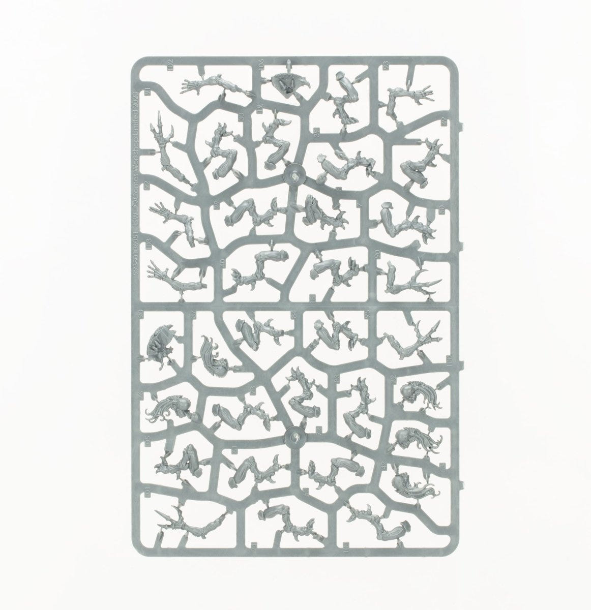 Combat Patrol: Tyranid Assault Brood unpainted plastic sprue, frame 3 of 10