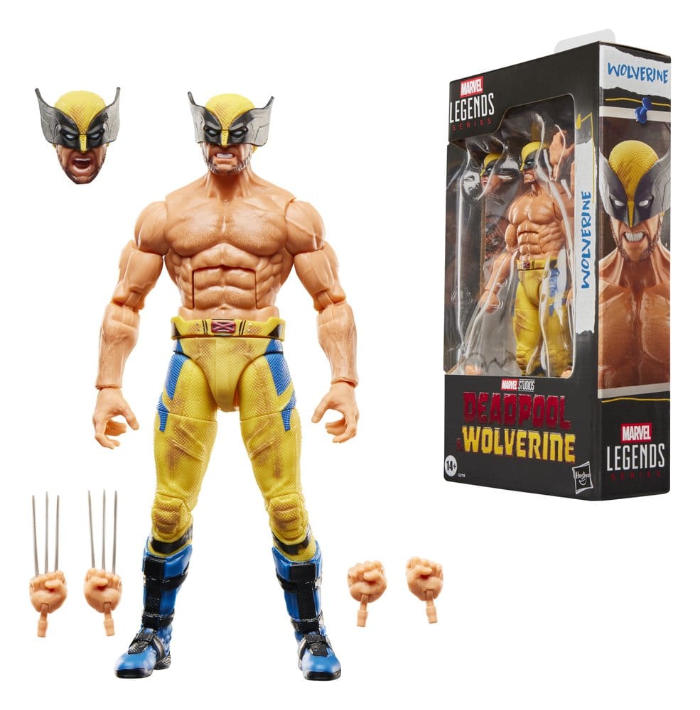 Marvel Legends Wolverine figure beside its box with alternate head and clawed and unclawed hands