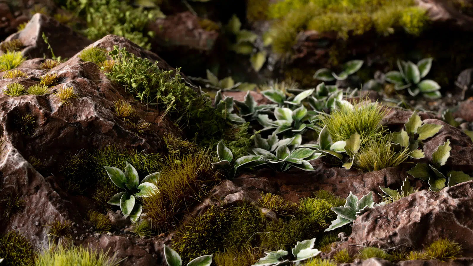 Gamers Grass Laser Plants - Plantain Lily - Loaded Dice