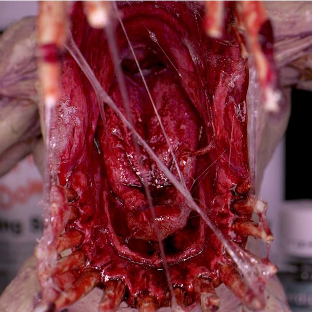 Close-up of clear Dirty Down Snot strands stretched across a painted monster's bloody maw