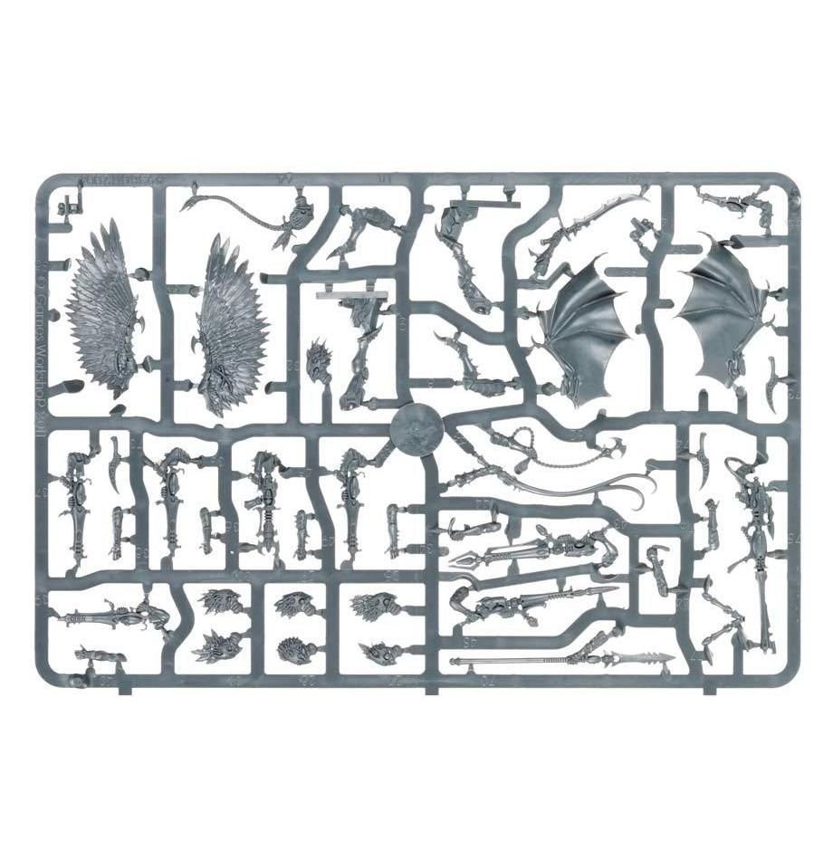 Drukhari: Scourges sprue contents - Loaded Dice