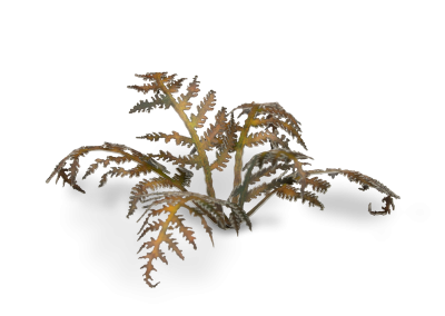 Gamers Grass Laser Plants - Dry Bracken - Loaded Dice