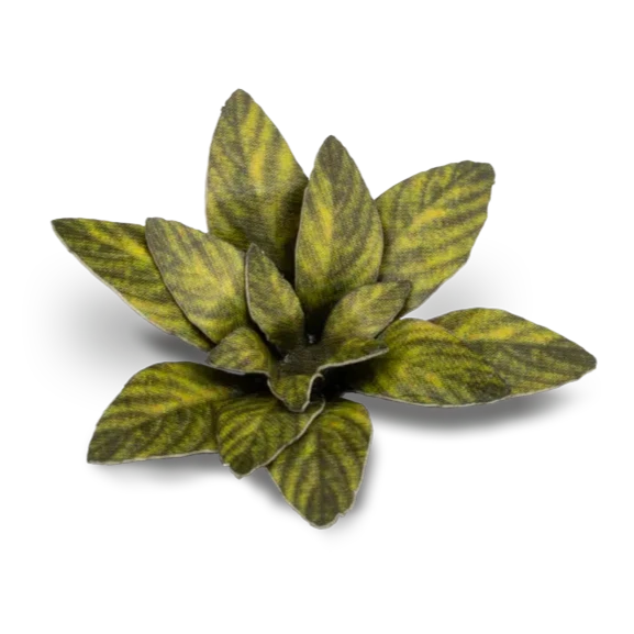 Gamers Grass Laser Plants - Dumb Cane - Loaded Dice