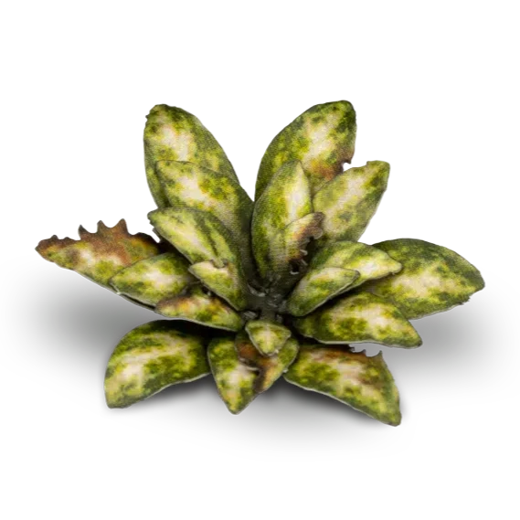 Gamers Grass Laser Plants - Dumb Cane - Loaded Dice