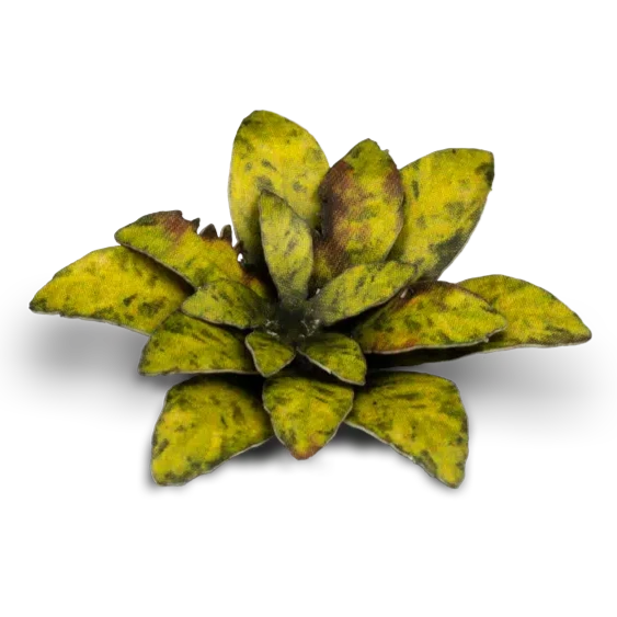 Gamers Grass Laser Plants - Dumb Cane - Loaded Dice