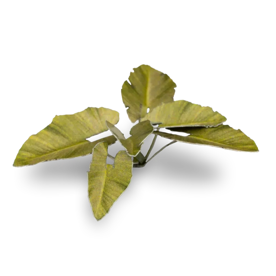 Gamers Grass Laser Plants - Elephant Ear - Loaded Dice