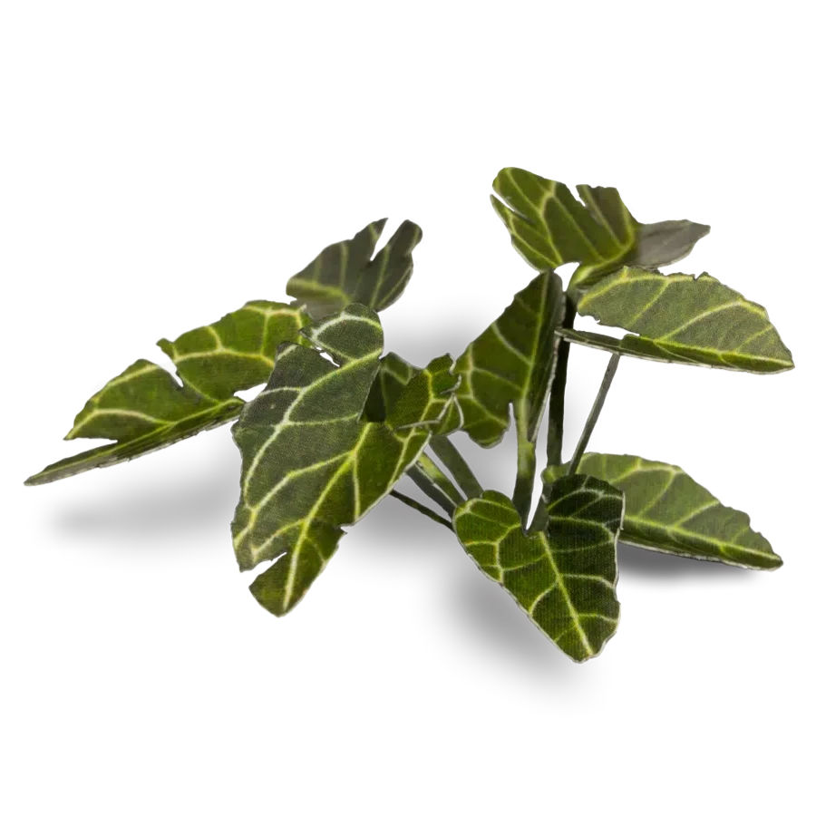 Gamers Grass Laser Plants - Elephant Ear - Loaded Dice