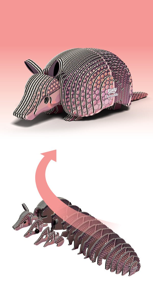 EUGY Armadillo shown as flat card slices and then built into the finished model