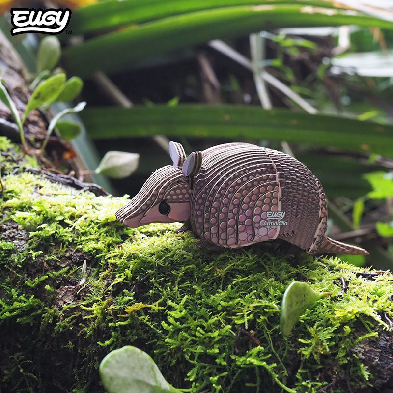 EUGY Armadillo 3D cardboard model kit - built model on display