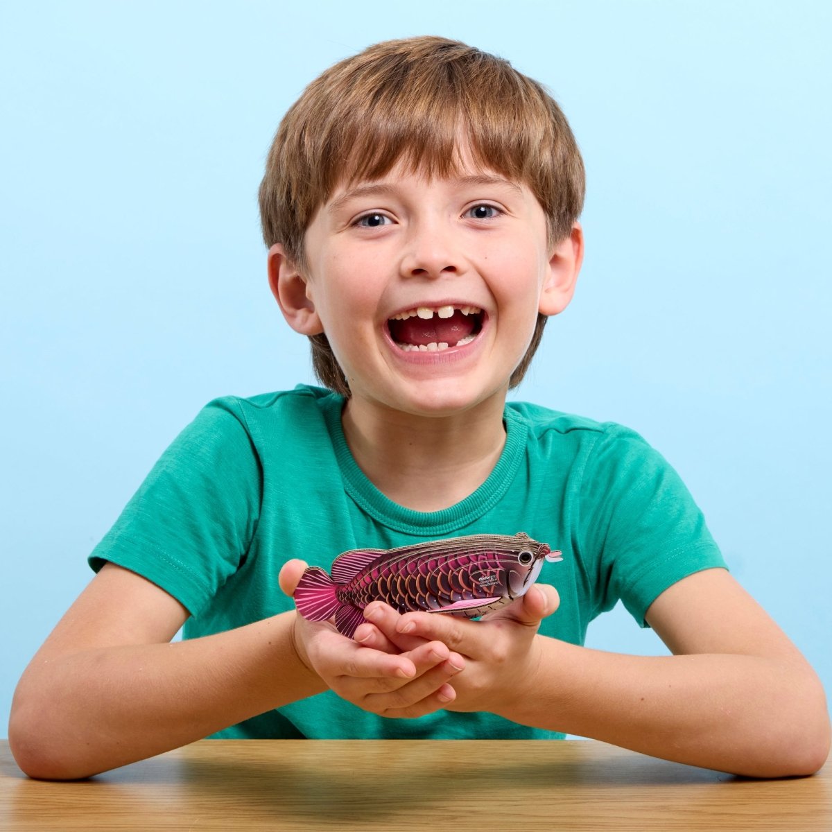 EUGY Asian Arowana 3D cardboard model kit - child with the finished model