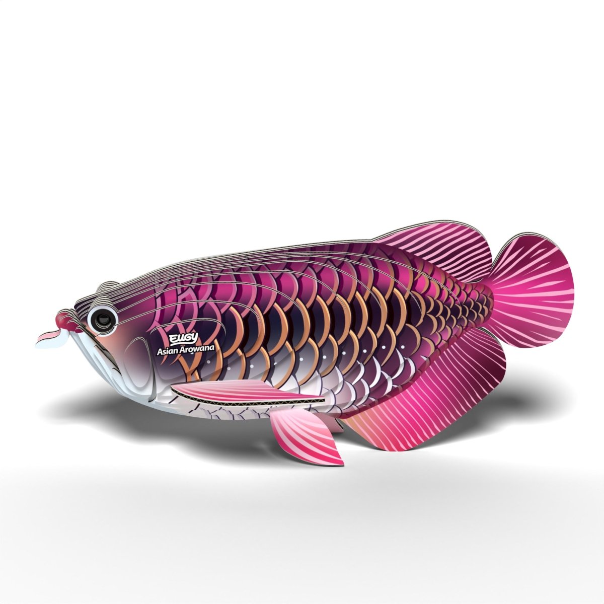 EUGY Asian Arowana 3D cardboard model kit - finished model