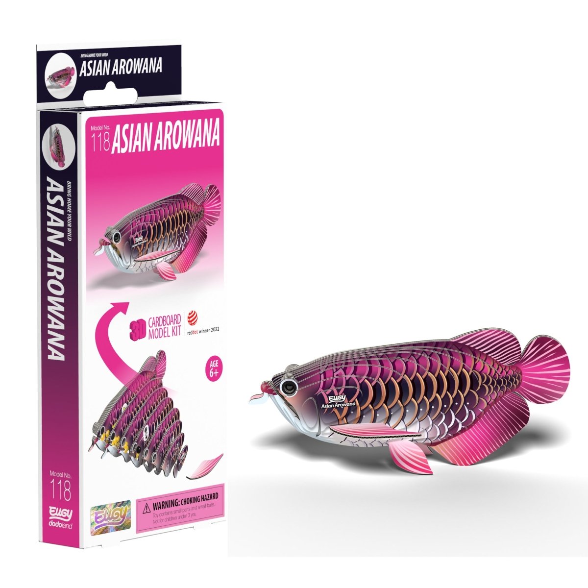 EUGY Asian Arowana 3D cardboard model kit - finished model with its box