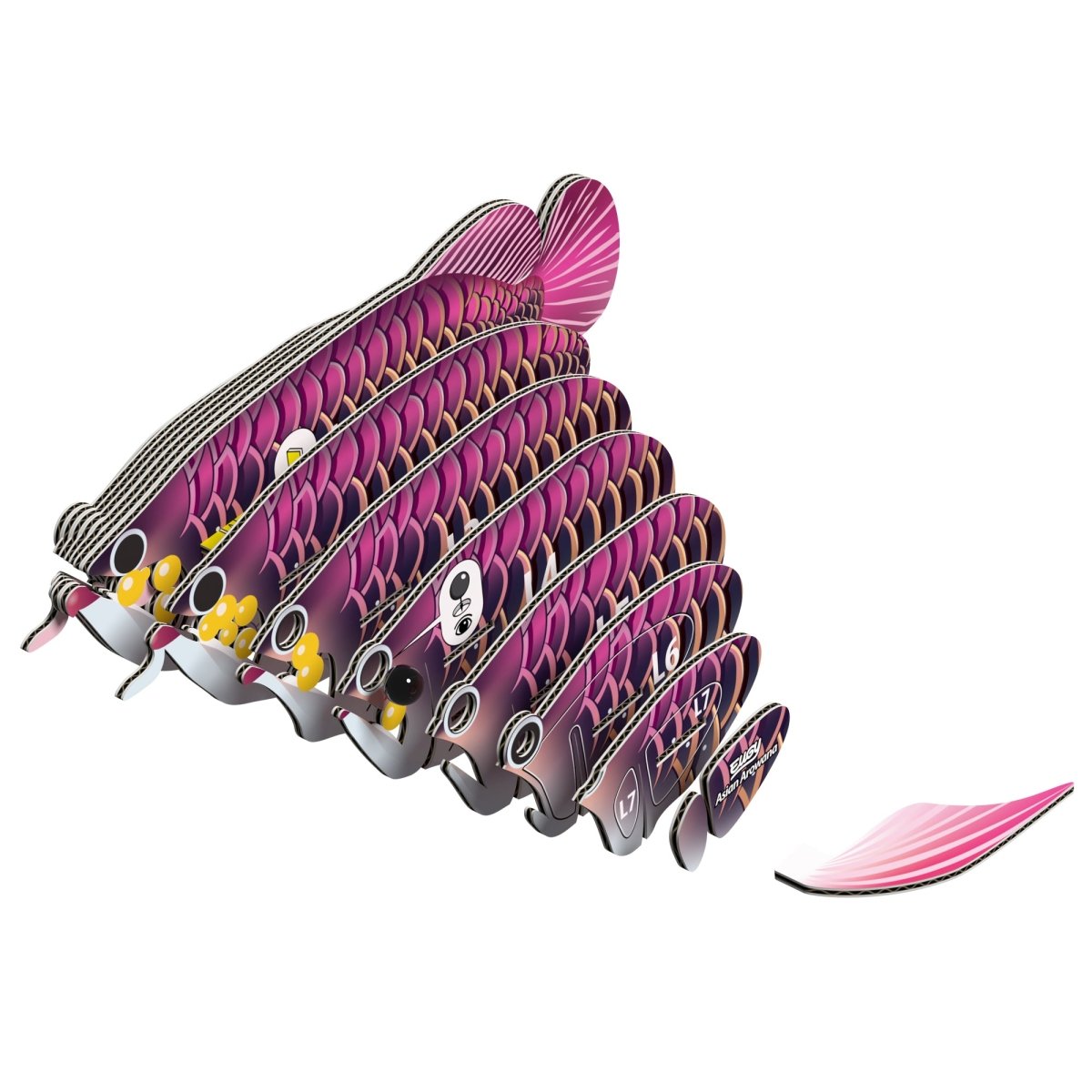 EUGY Asian Arowana 3D cardboard model kit - exploded view of the numbered layers