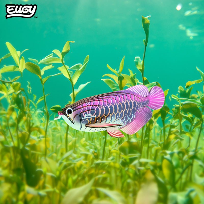 EUGY Asian Arowana 3D cardboard model kit - built model on display