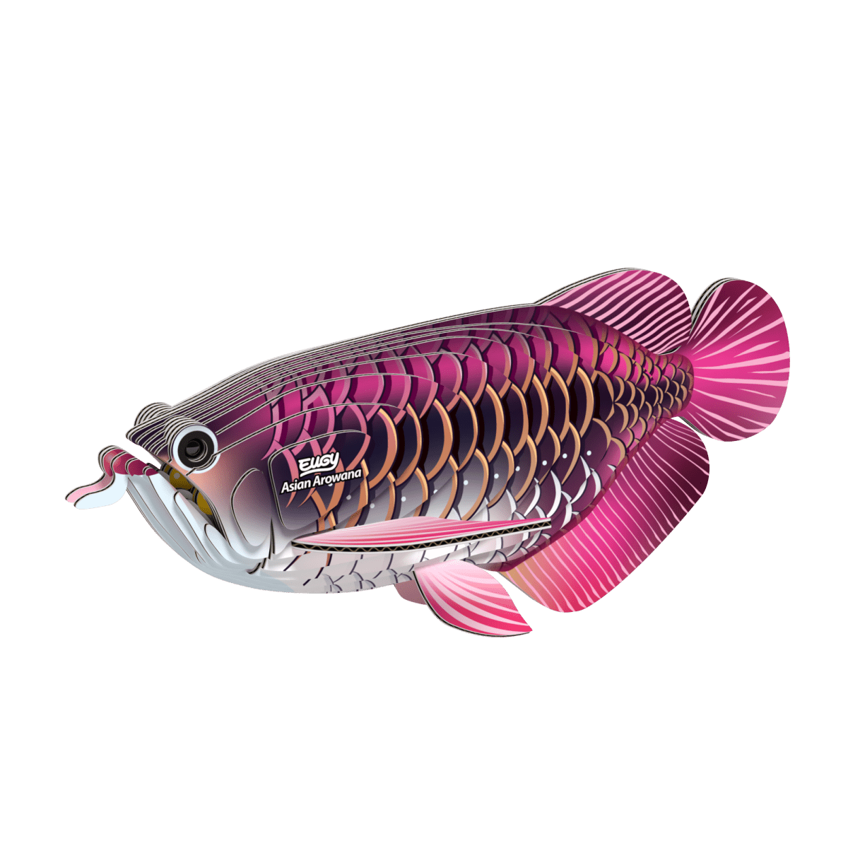 EUGY Asian Arowana - Loaded Dice