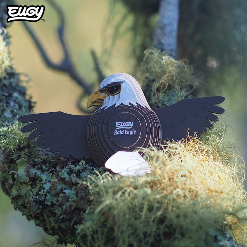 EUGY Bald Eagle 3D cardboard model kit - built model on display