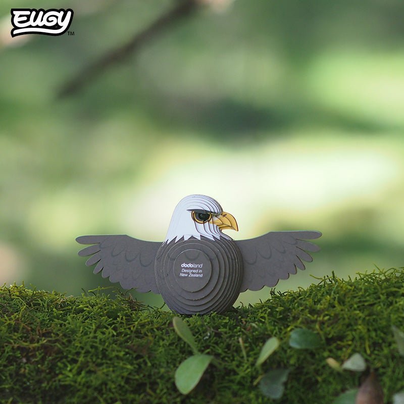 EUGY Bald Eagle 3D cardboard model kit - built model on display