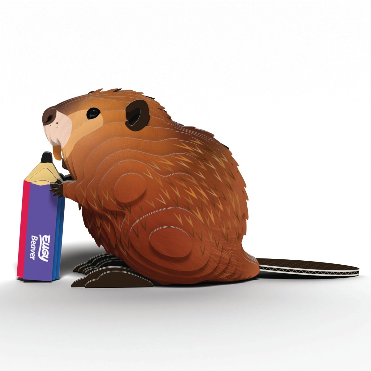 Assembled EUGY Beaver 3D card model from the front, showing its orange teeth