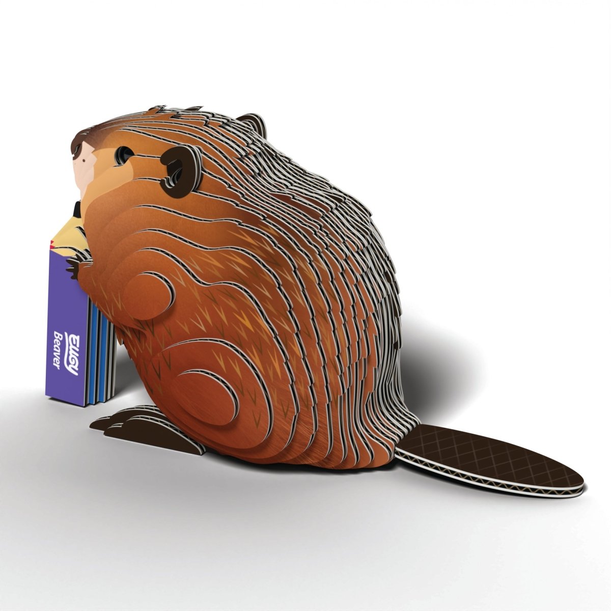 Assembled EUGY Beaver card model from a rear angle showing its layered flat tail