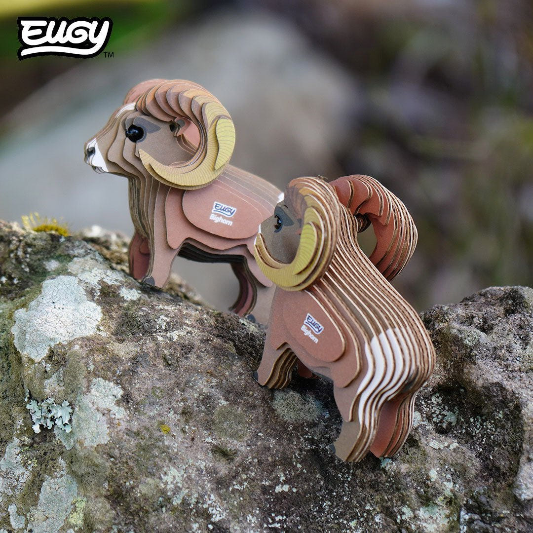 EUGY Bighorn 3D cardboard model kit - built model on display