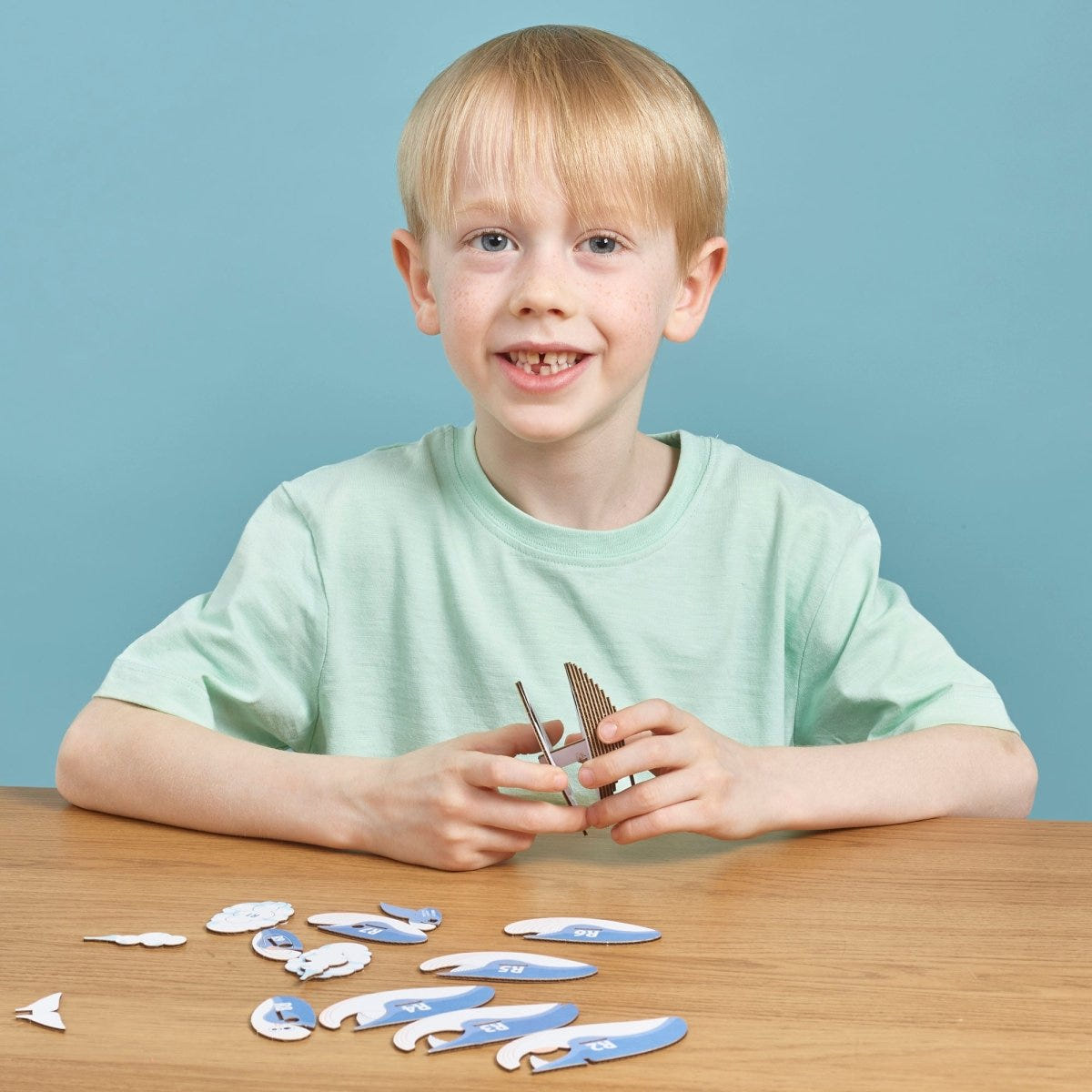 EUGY Blue Whale 3D cardboard model kit - child assembling the model