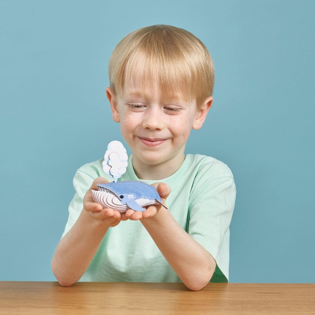 EUGY Blue Whale 3D cardboard model kit - child with the finished model