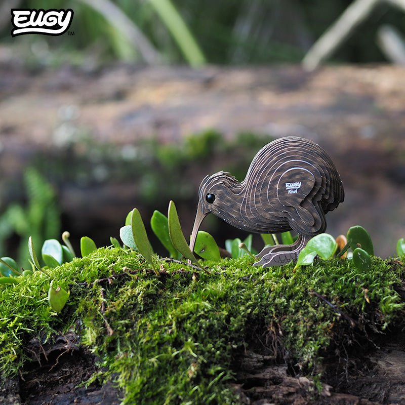 EUGY Brown Kiwi 3D cardboard model kit - built model on display