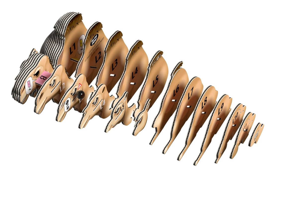 EUGY Camel 3D cardboard model kit - exploded view of the numbered layers