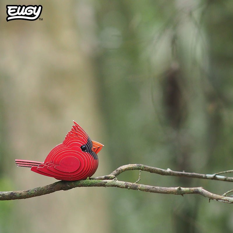 EUGY Cardinal 3D cardboard model kit - built model on display
