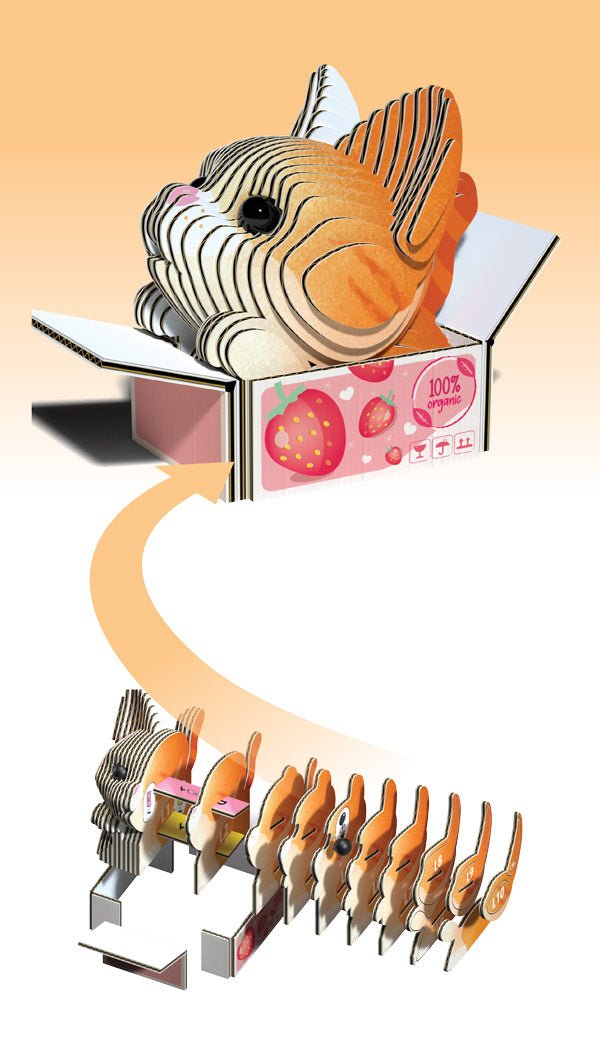 EUGY Pumpkin cat model shown built and as exploded layered card slices
