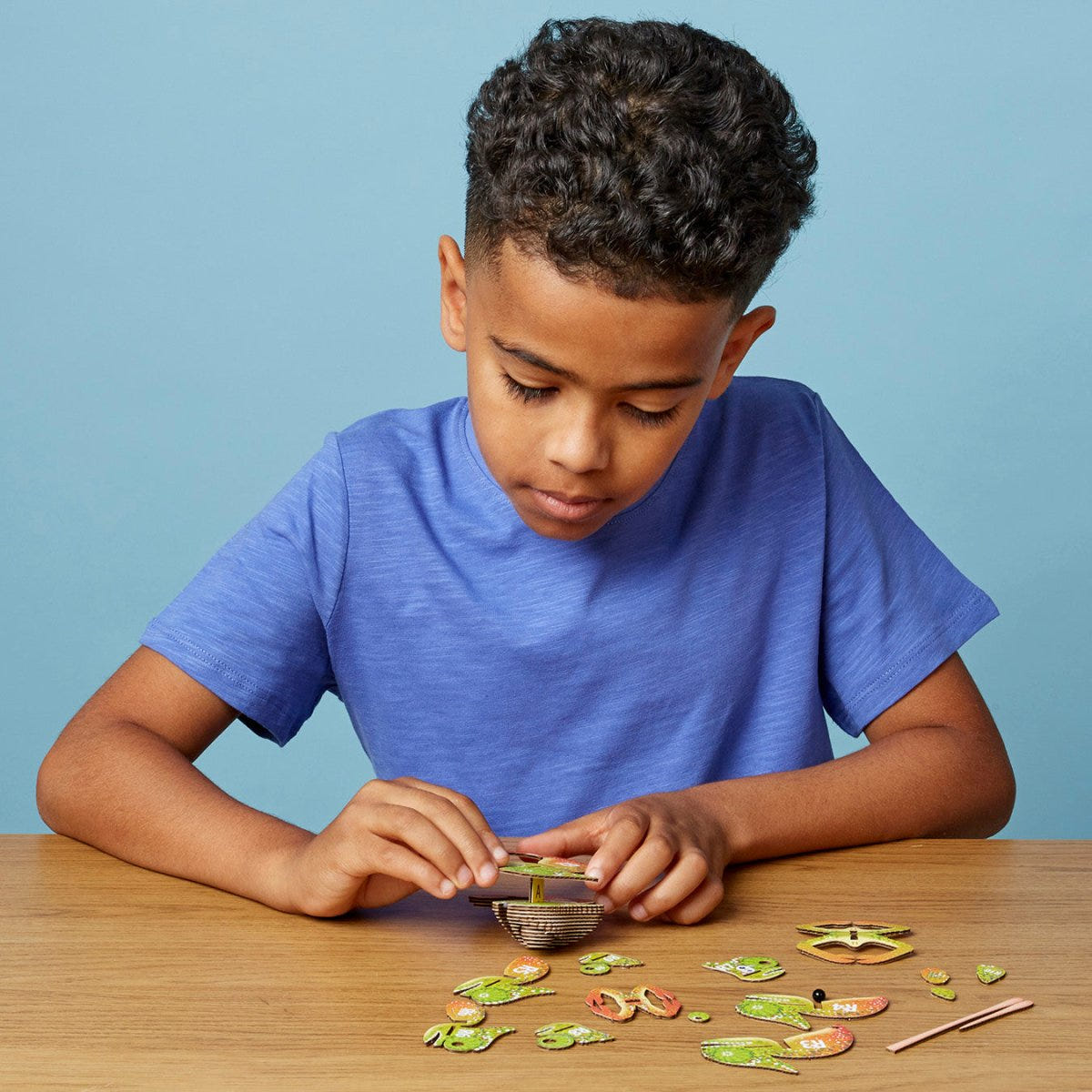 EUGY Chameleon 3D cardboard model kit - child assembling the model