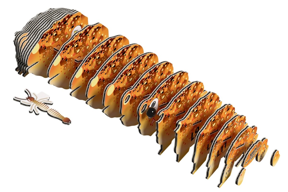 EUGY Desert Spadefoot Toad 3D cardboard model kit - exploded view of the numbered layers