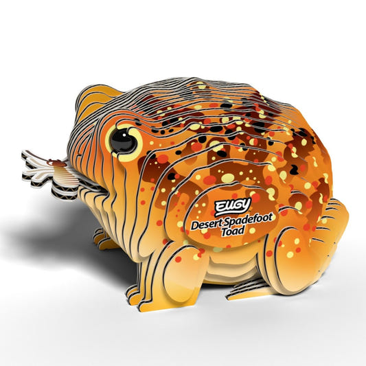 EUGY Desert Spadefoot Toad 3D cardboard model kit - finished model