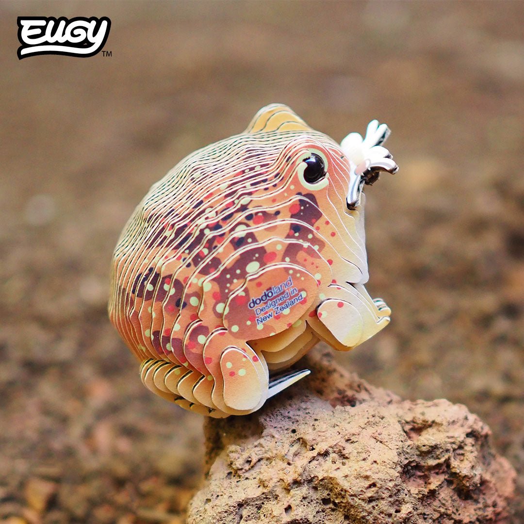 EUGY Desert Spadefoot Toad 3D cardboard model kit - built model on display