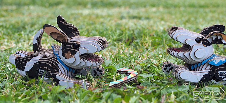 Two EUGY cardboard dogs, including Hope, posed together on grass