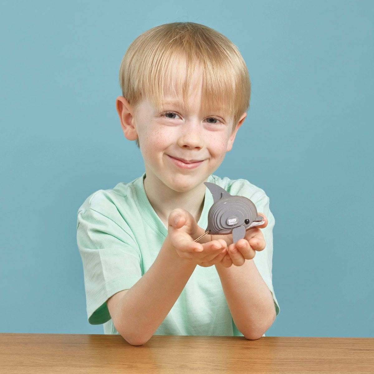 EUGY Dolphin 3D cardboard model kit - child with the finished model