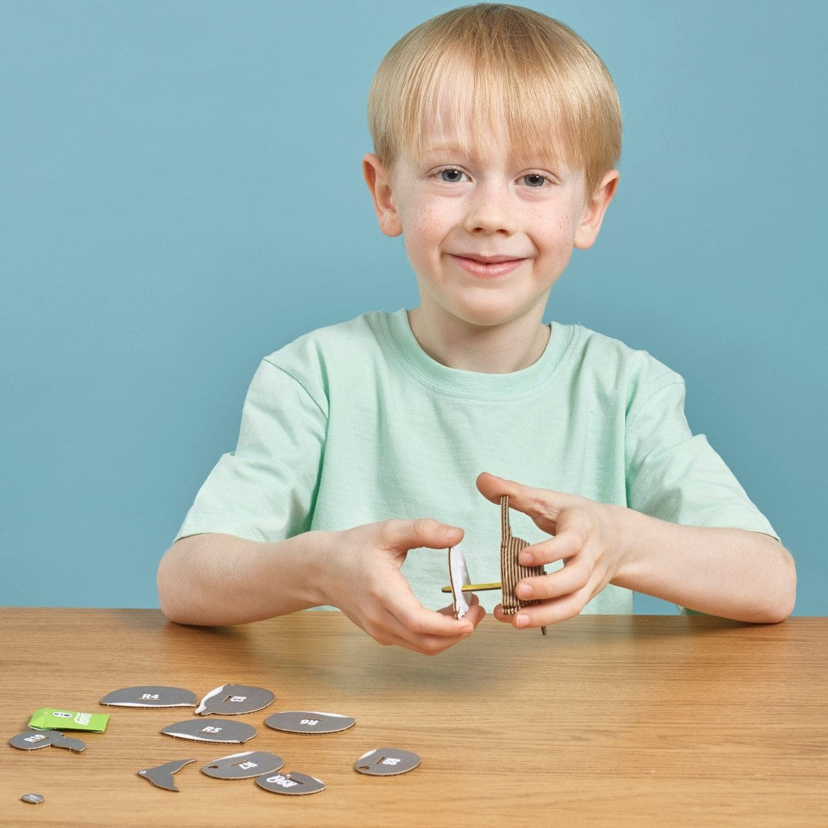 EUGY Dolphin 3D cardboard model kit - child assembling the model