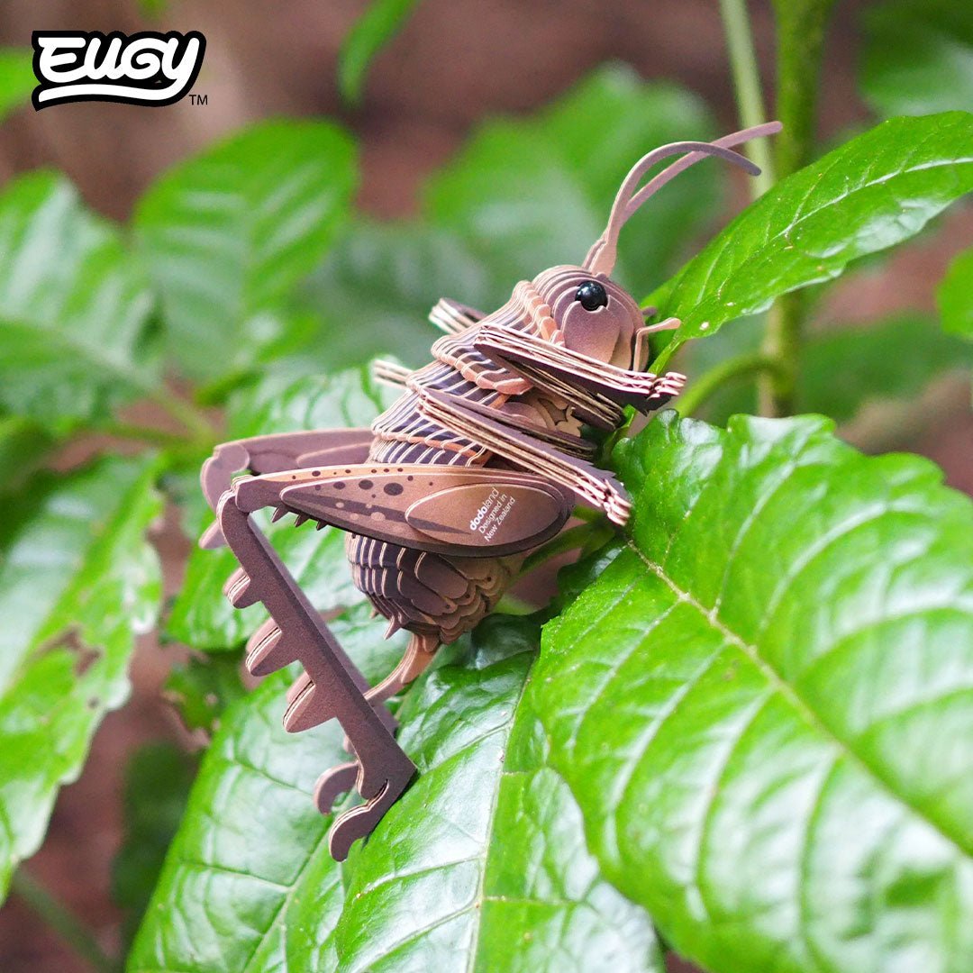 EUGY Giant Weta 3D cardboard model kit - built model on display