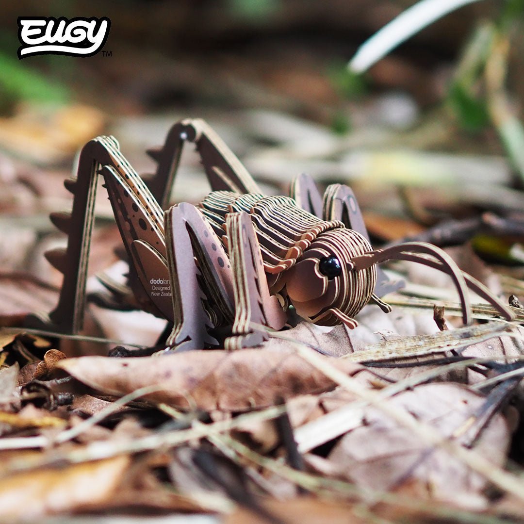 EUGY Giant Weta 3D cardboard model kit - built model on display