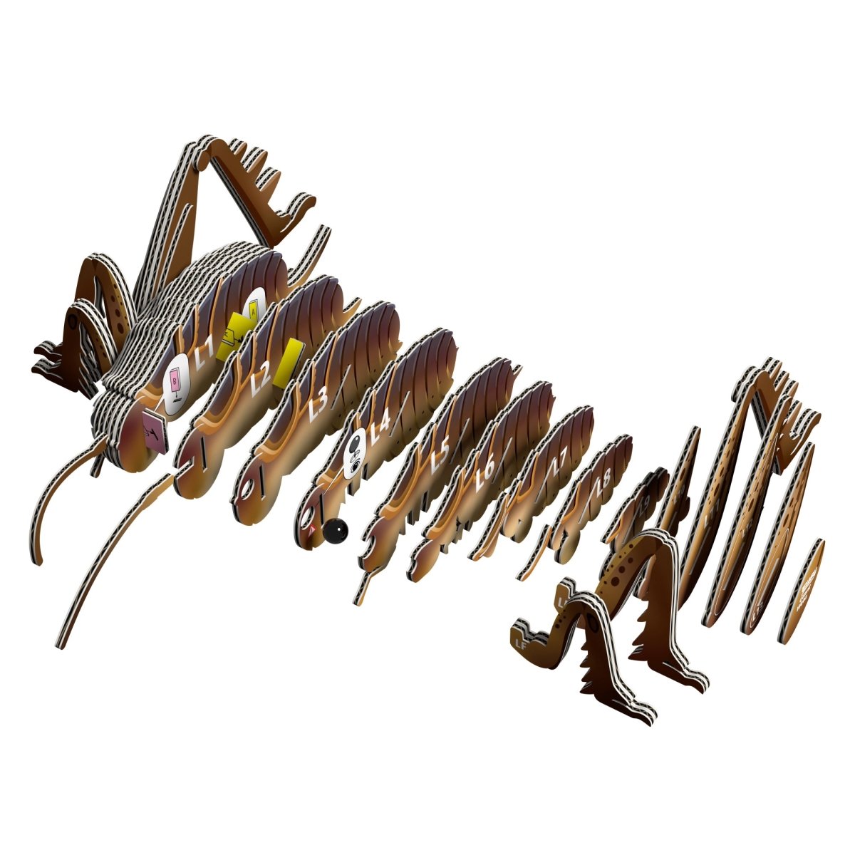 EUGY Giant Weta 3D cardboard model kit - exploded view of the numbered layers