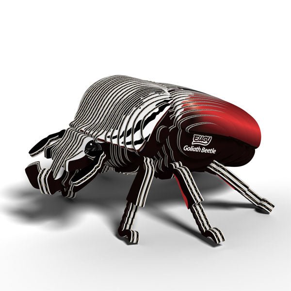 EUGY Goliath Beetle