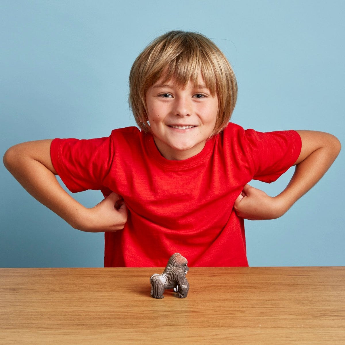 EUGY Gorilla 3D cardboard model kit - child with the finished model