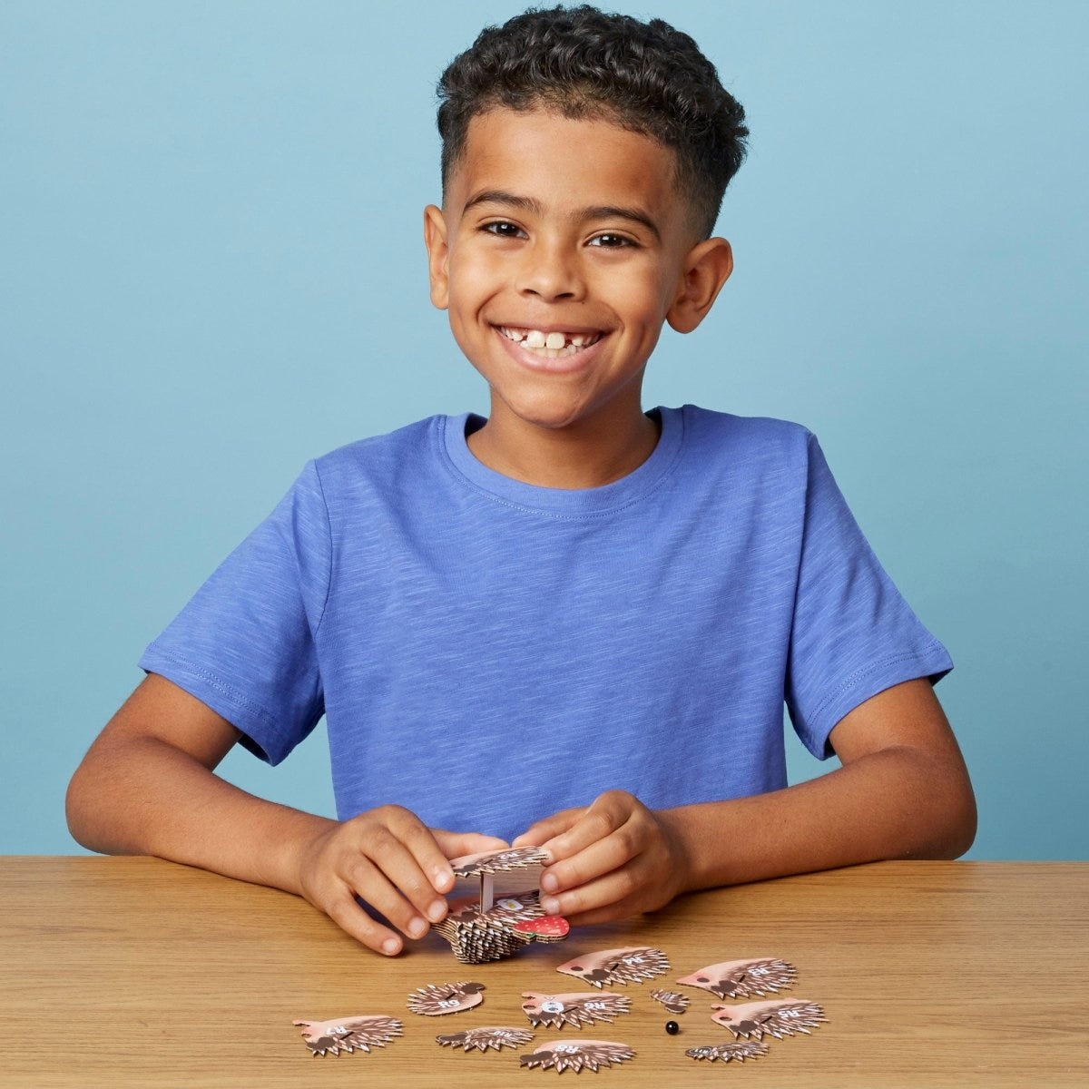 EUGY Hedgehog 3D cardboard model kit - child assembling the model