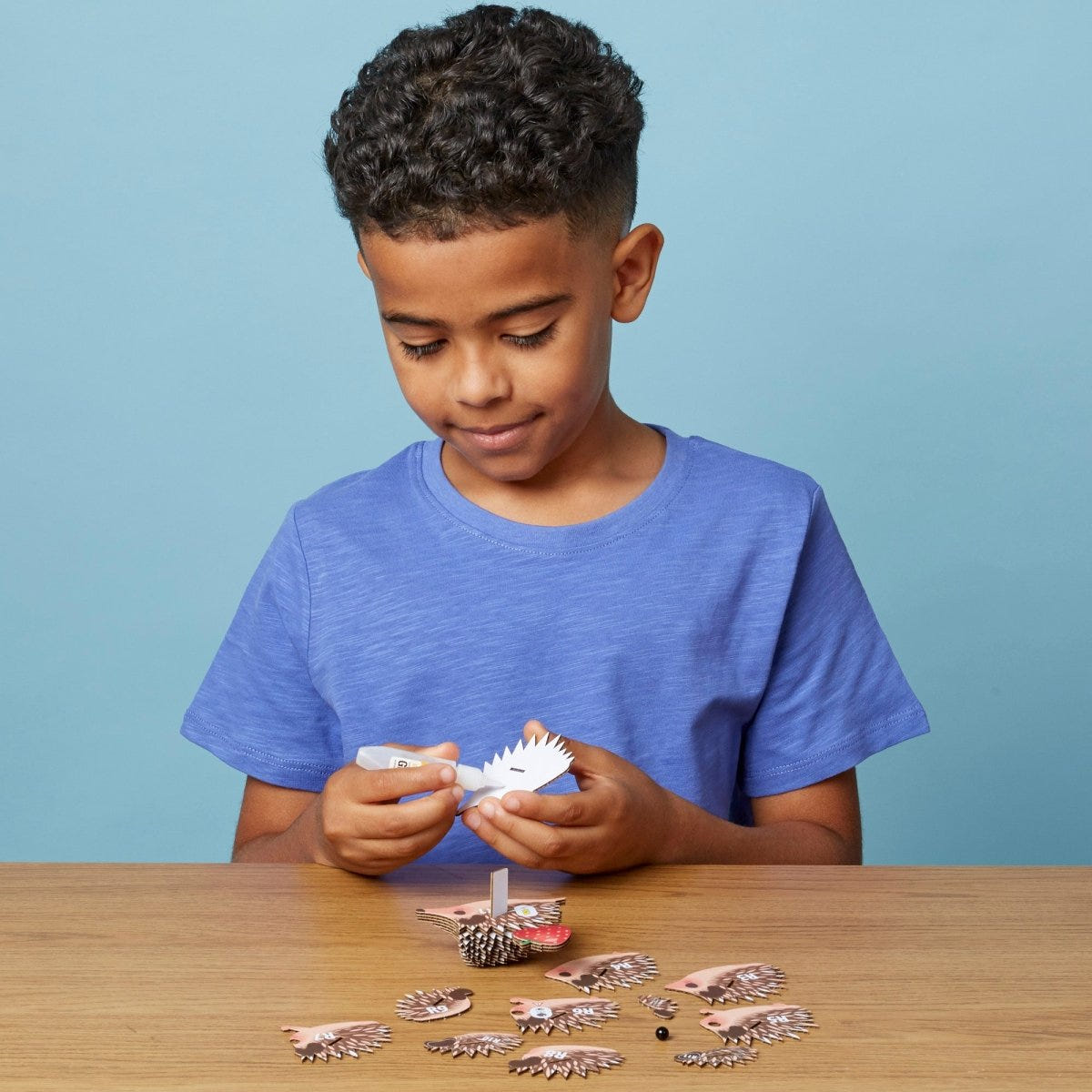 EUGY Hedgehog 3D cardboard model kit - child gluing the pieces