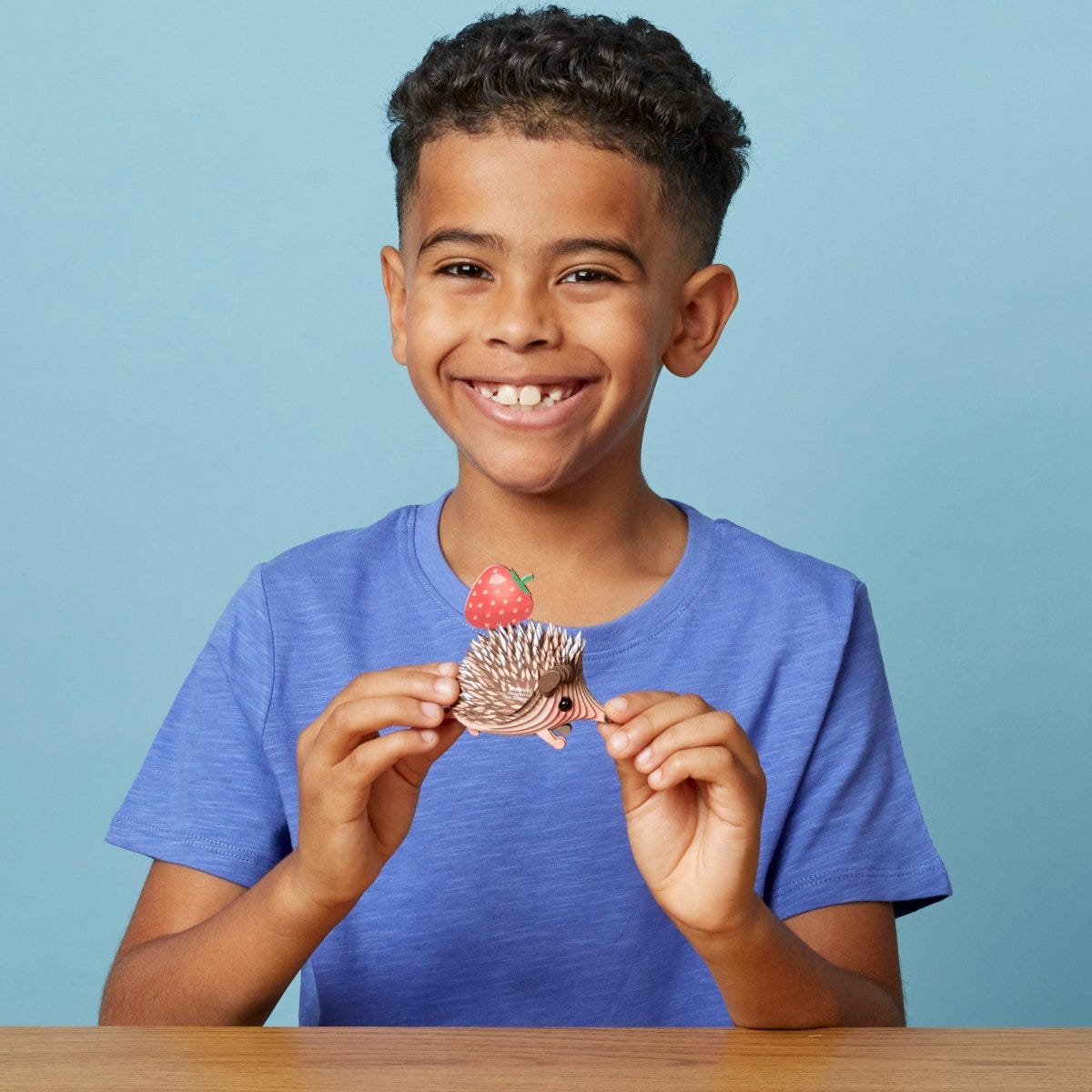 EUGY Hedgehog 3D cardboard model kit - child with the finished model