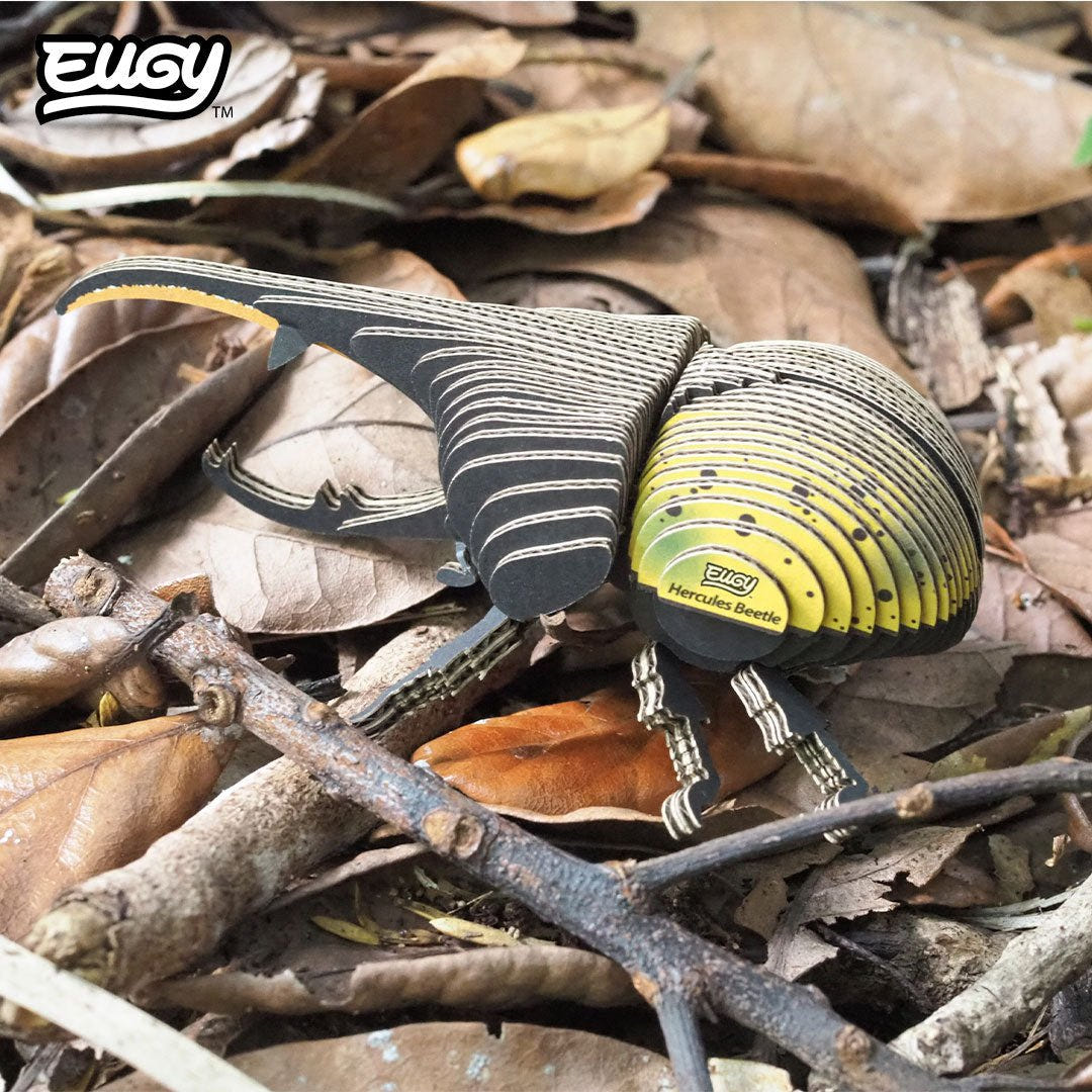 EUGY Hercules Beetle 3D cardboard model kit - built model on display