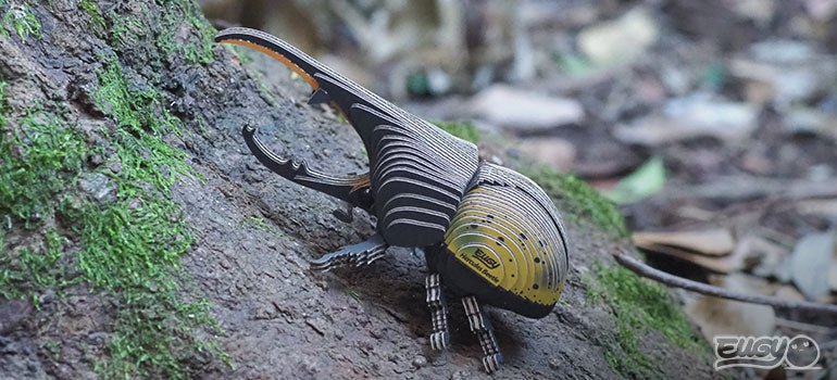 EUGY Hercules Beetle - Loaded Dice