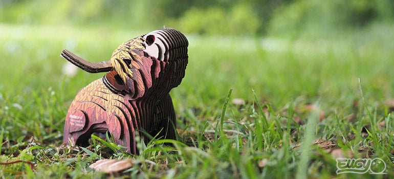 Finished EUGY Highland Cow model in grass seen from a low front angle