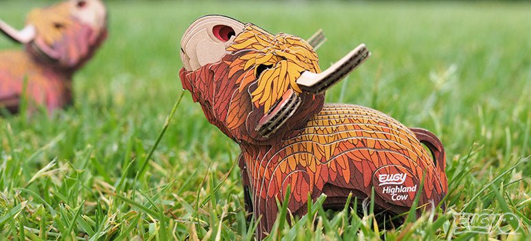 EUGY Highland Cow card model on a lawn, horns and fringe in focus